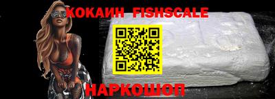 индика Ставрополь