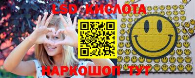 индика Ставрополь