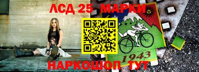 индика Ставрополь