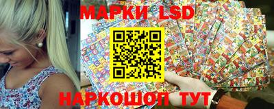 индика Ставрополь