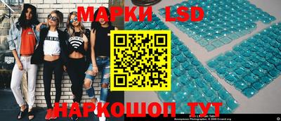индика Ставрополь