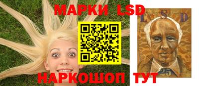 индика Ставрополь