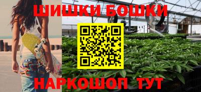 индика Ставрополь
