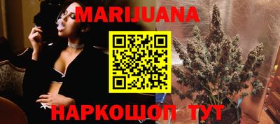 индика Ставрополь